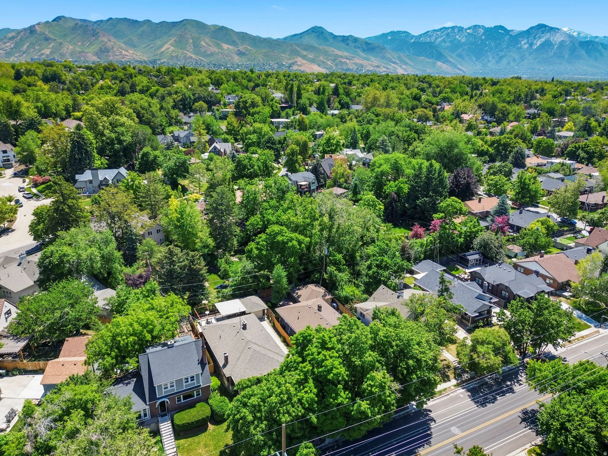 Expansive residential area featuring mature tree cover and mountain range backdrop