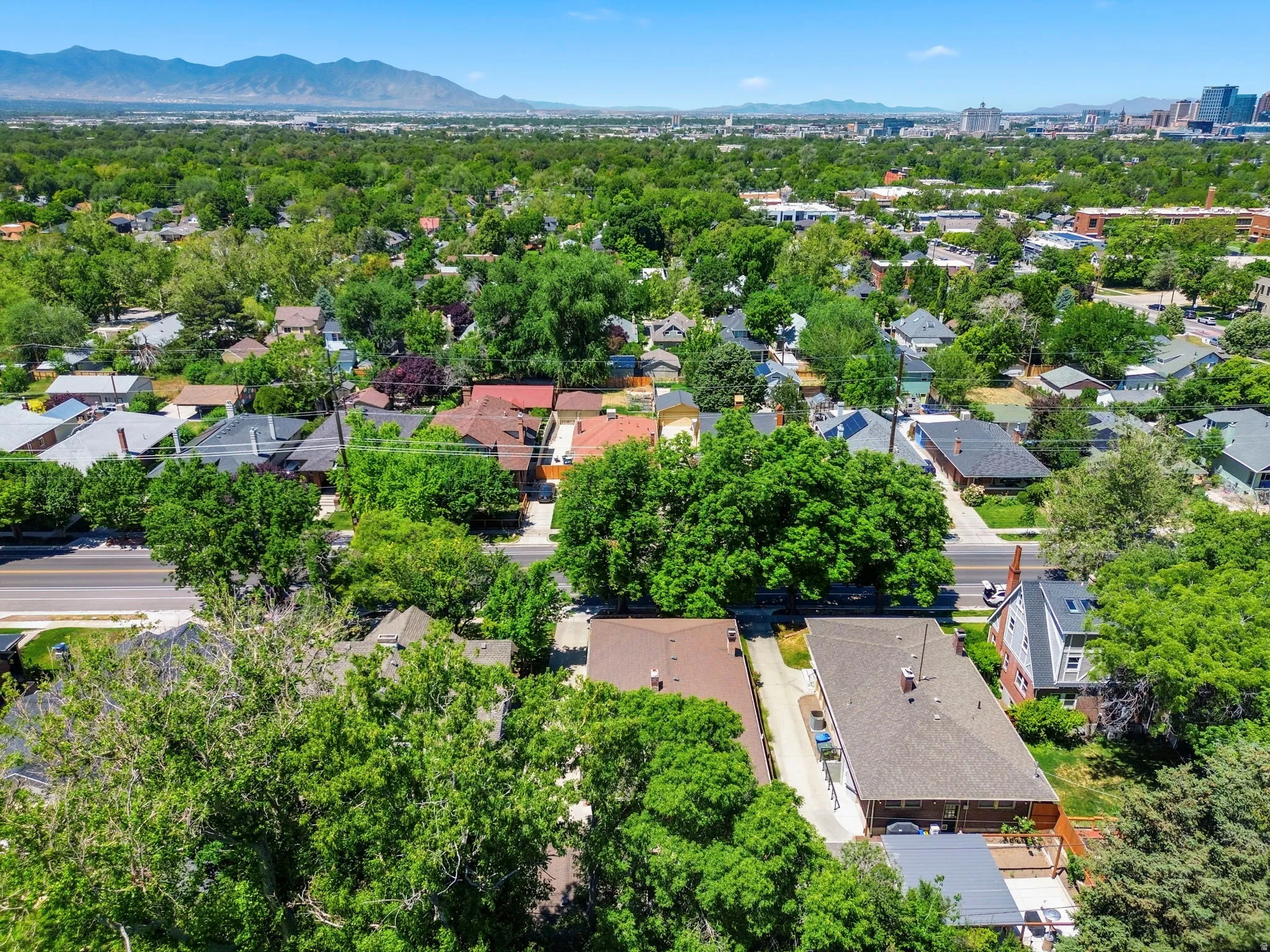 Aerial perspective showcasing a residential area with mature tree canopies