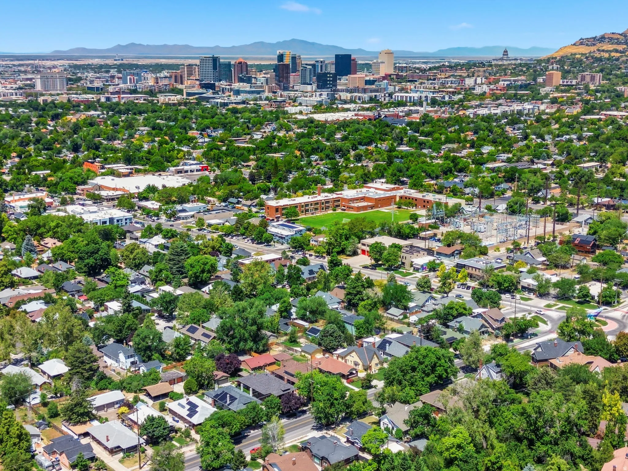 Aerial perspective showcasing a sprawling urban landscape with a dense canopy of mature trees