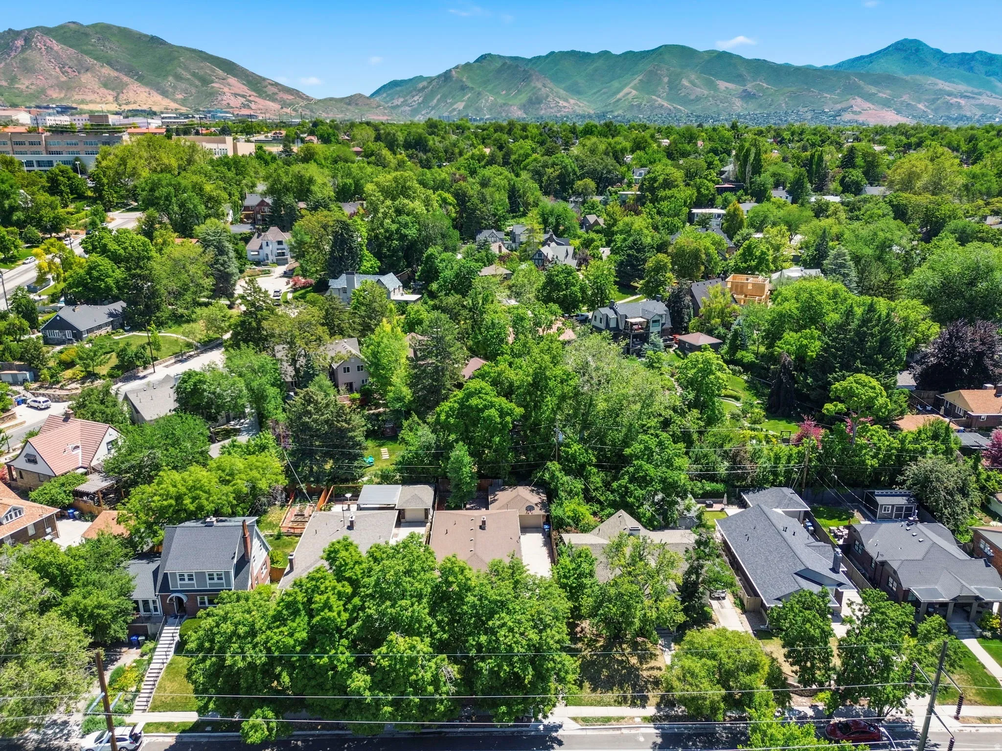 Residential area featuring mature tree canopies and varied architectural styles