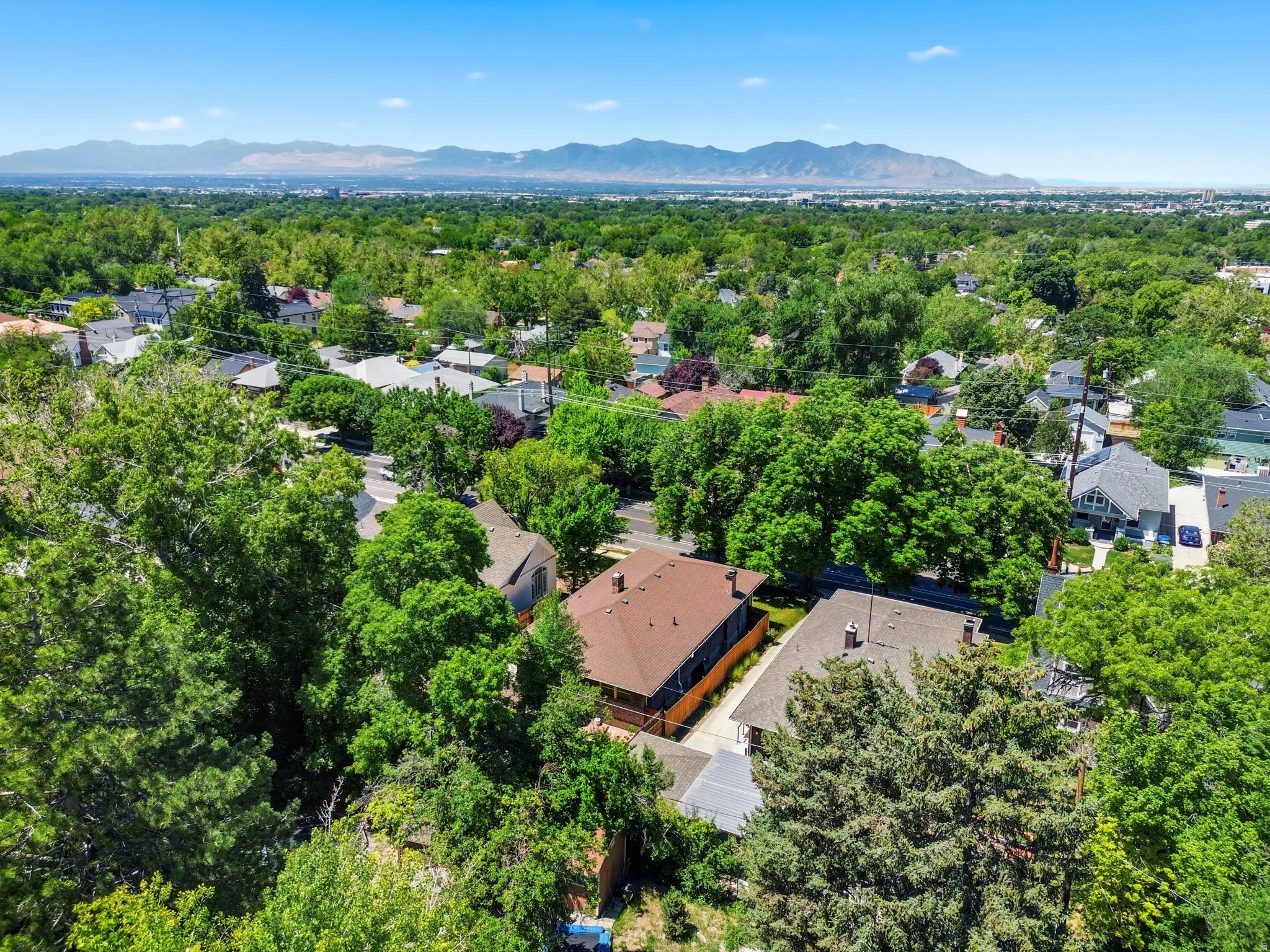 Aerial perspective of a verdant neighborhood with established trees and residential rooftops