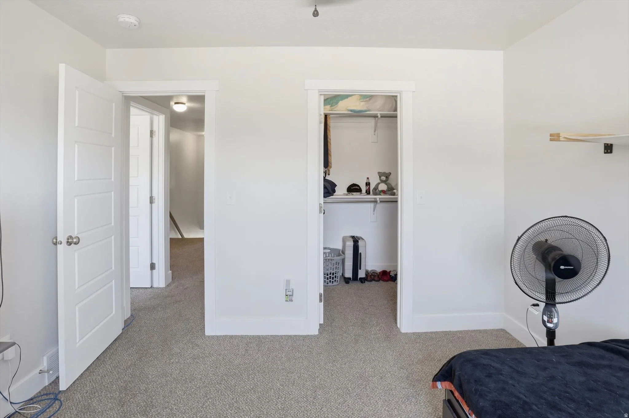Plush carpeting throughout the room, featuring a built-in closet with shelving and a separate hallway access