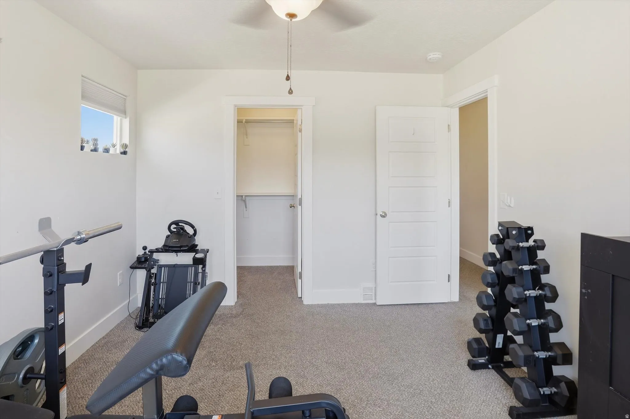 Carpeted room featuring a ceiling fan with light fixture, a window with blind, and a walk-in closet with shelving and hanging rod