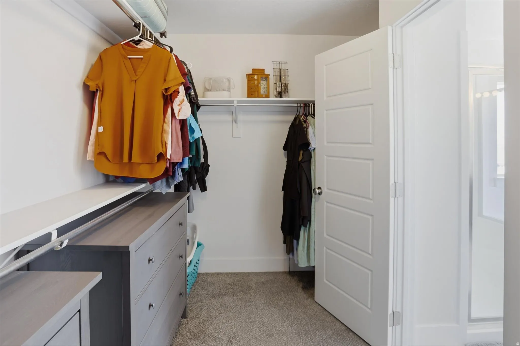 Walk-in closet with built-in shelving, hanging rods, carpet flooring, and a panel door