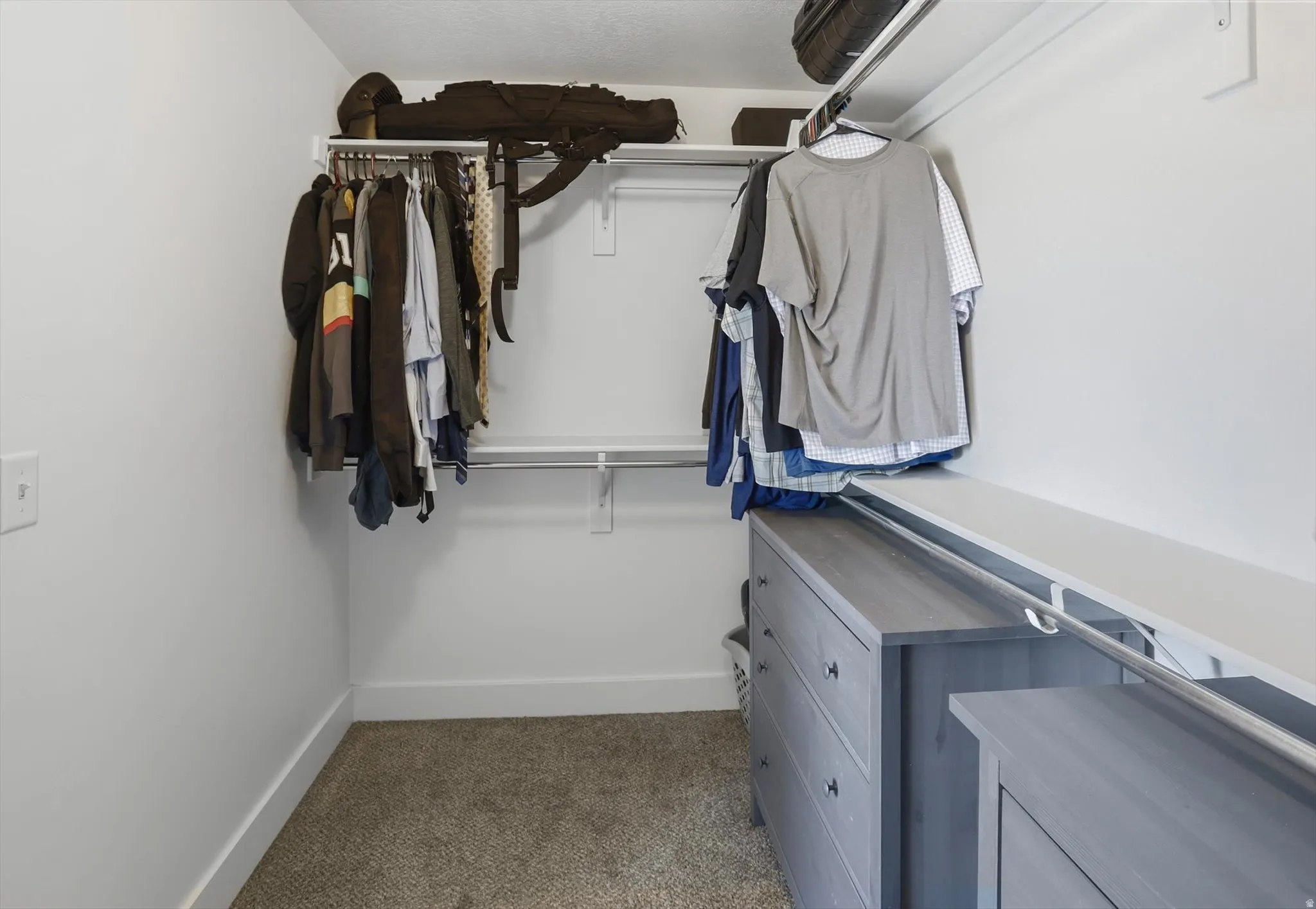 Walk-in closet featuring built-in shelving, hanging rods, an integrated dresser, and carpet flooring