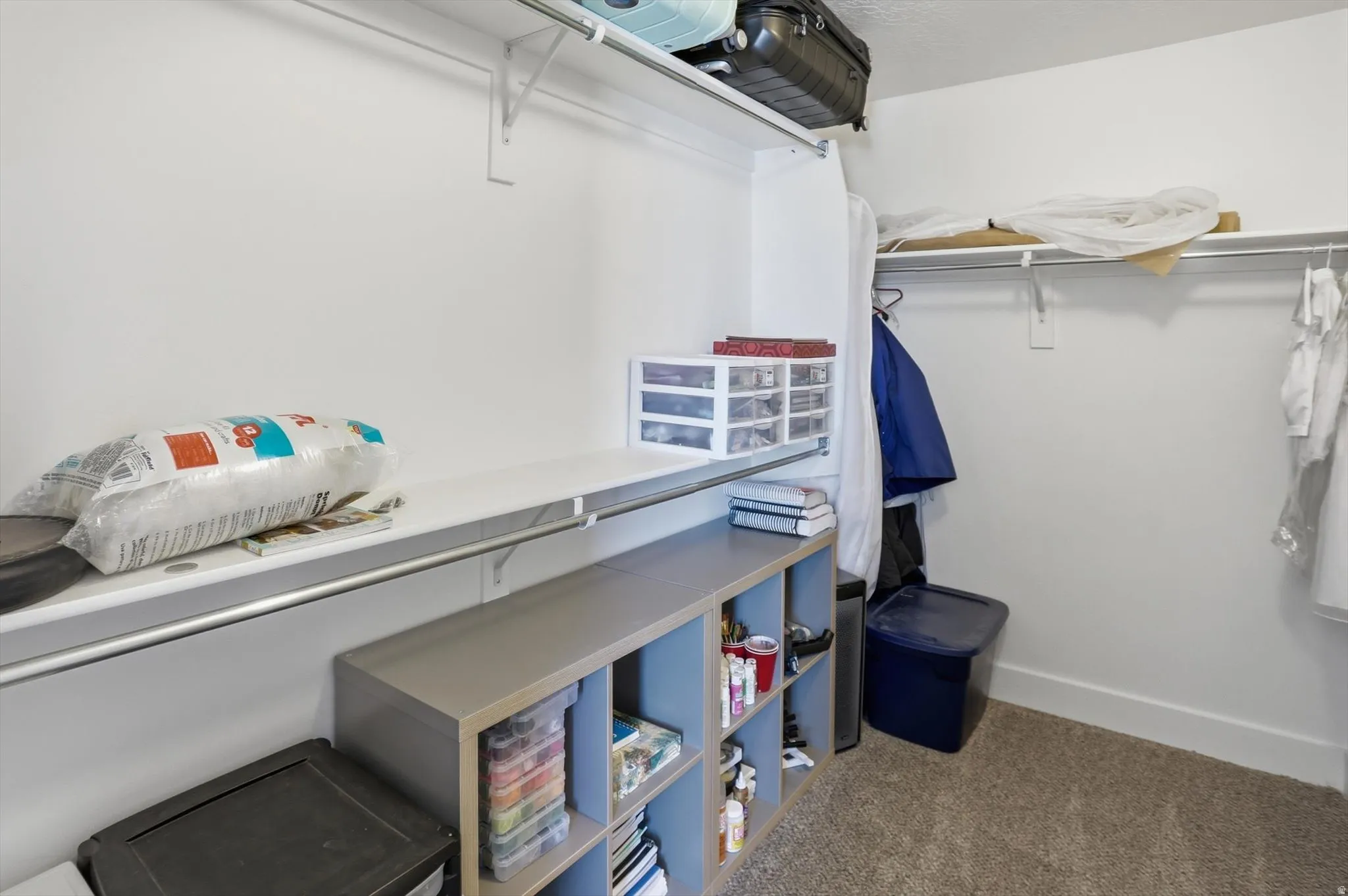 Spacious closet featuring white walls, a light gray carpeted floor, and multiple shelving and hanging storage options