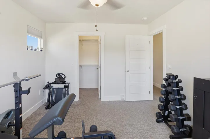 Carpeted room featuring a ceiling fan with light fixture, a window with blind, and a walk-in closet with shelving and hanging rod