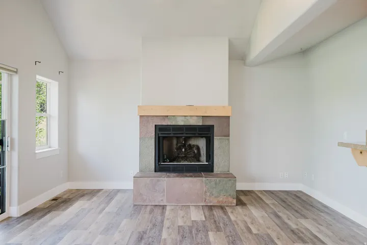 Gas fireplace