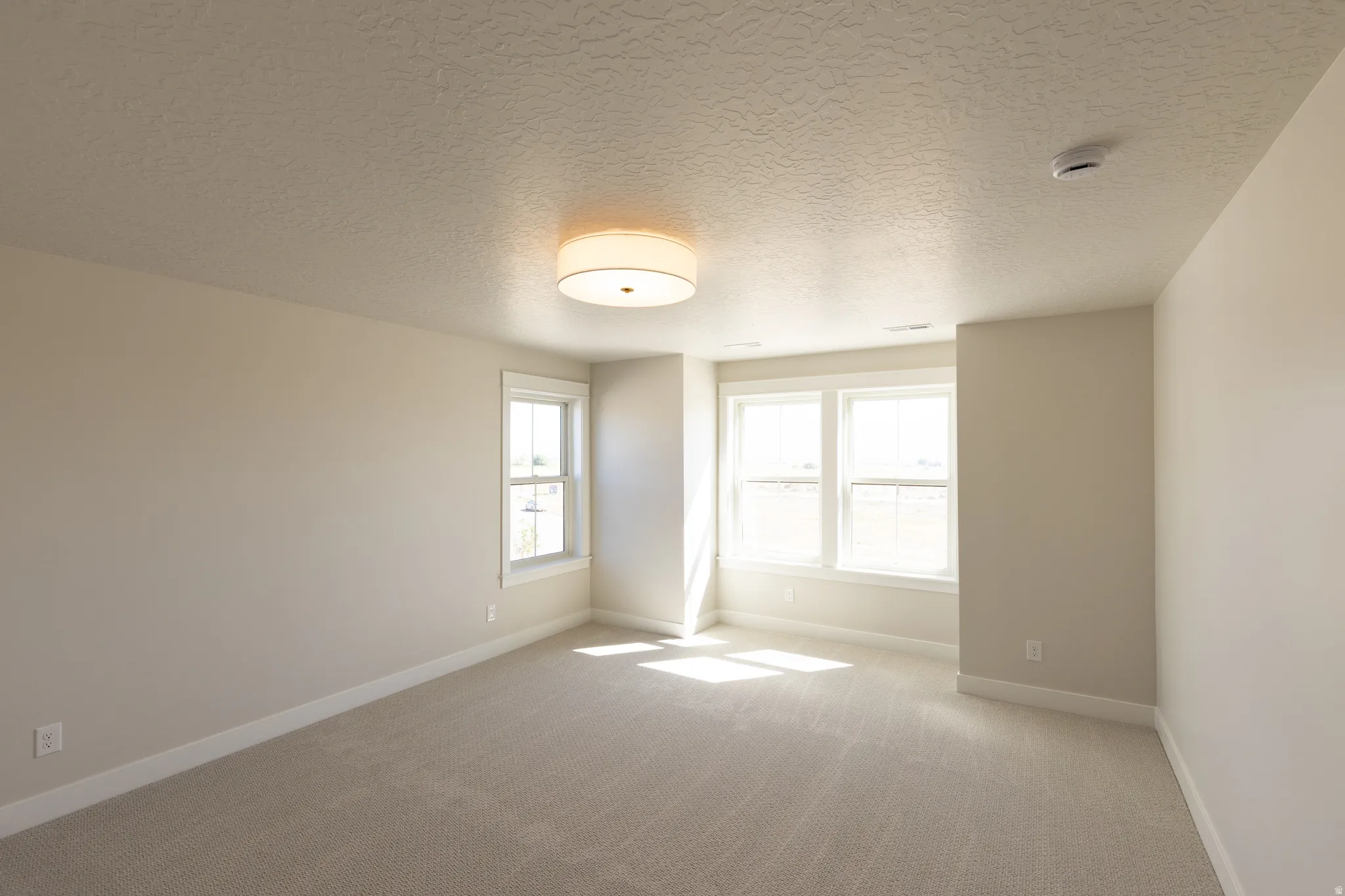 Neutral-toned carpeting extends throughout this room, featuring multiple windows with white trim and a ceiling-mounted drum light fixture