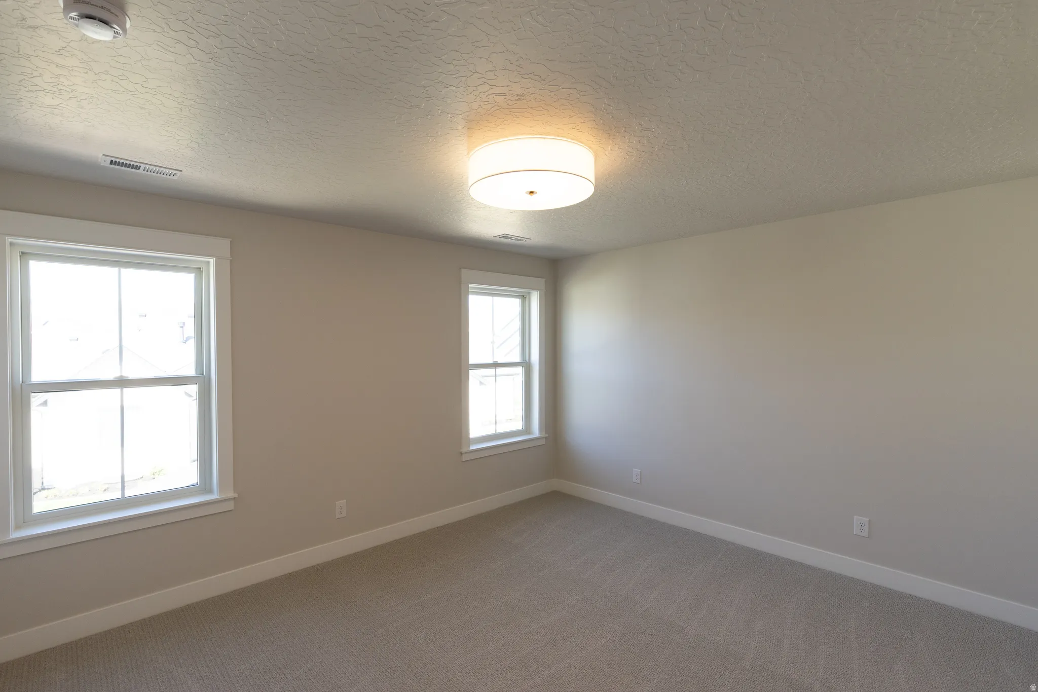 Carpeted room featuring neutral wall paint, two double-hung windows with white trim, a flush mount ceiling light, and white baseboards