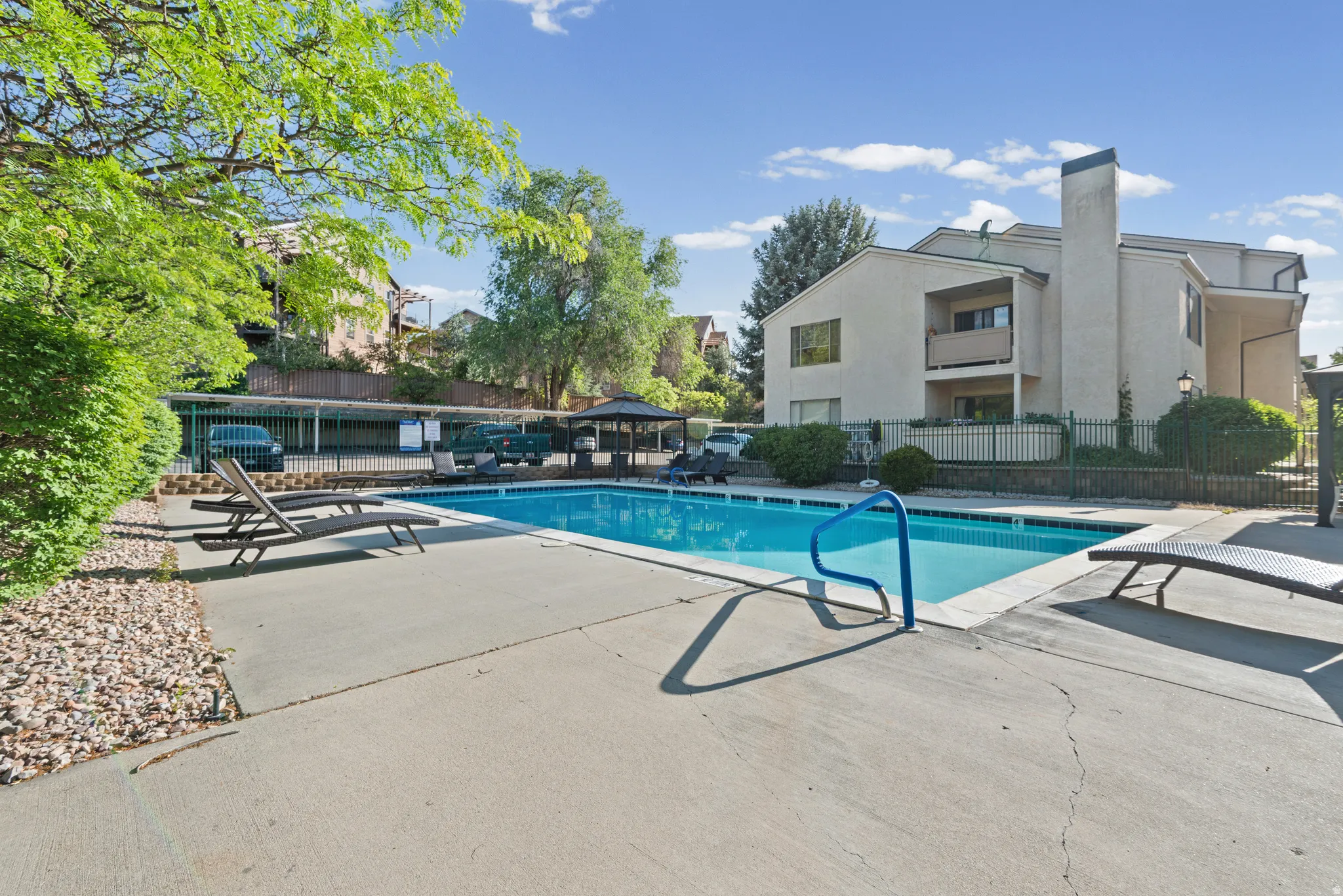 Outdoor swimming pool with concrete surround, bordered by mature trees and shrubs