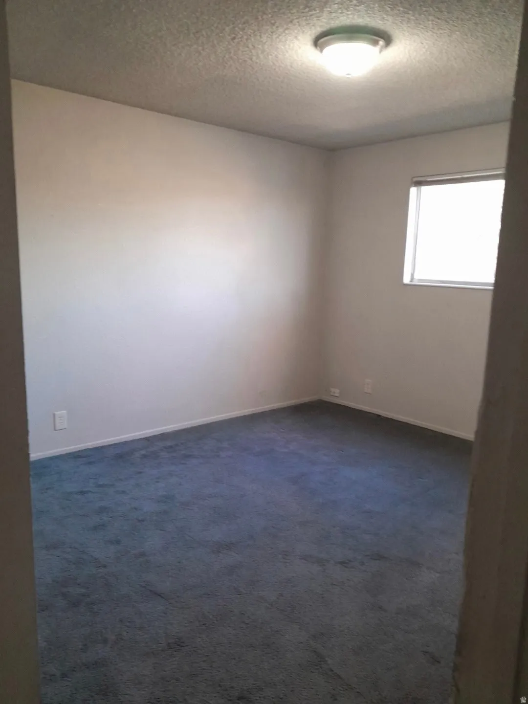 Room featuring blue carpeting, white walls, a flush-mount ceiling light fixture, and a single window