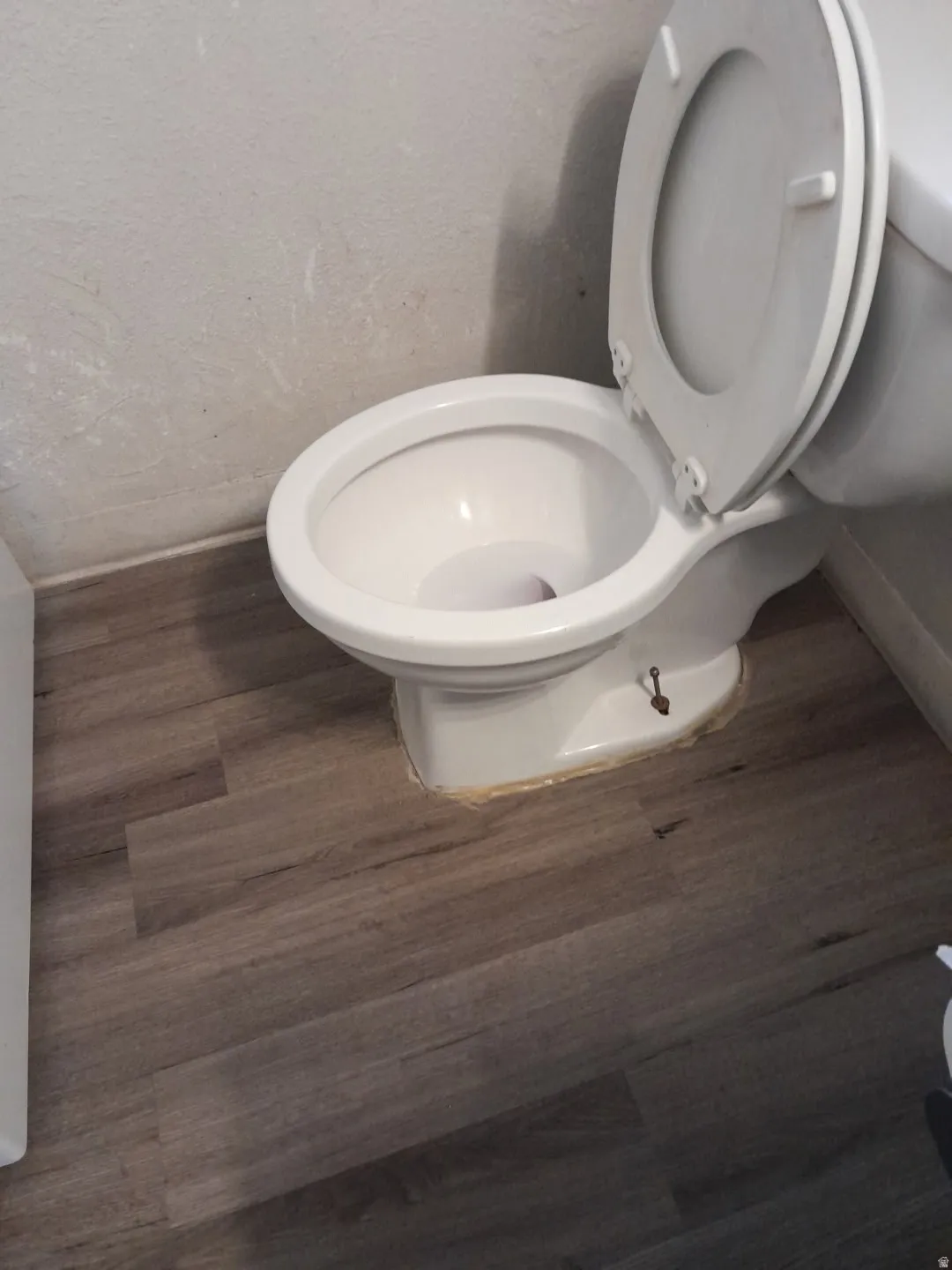 Image quality insufficient for description