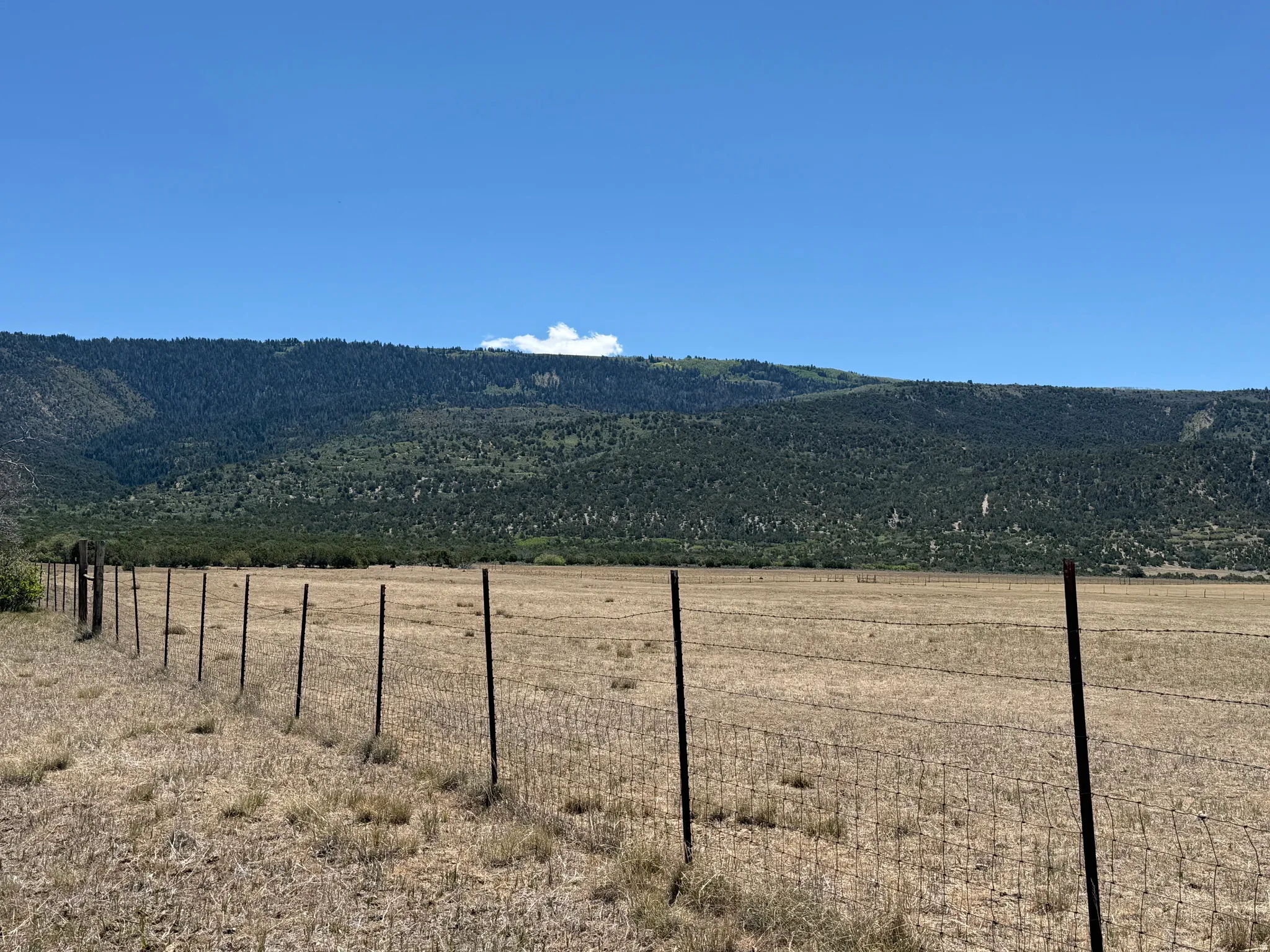 Expansive open land featuring a wire fence with metal posts, natural vegetation, and distant tree-covered mountains