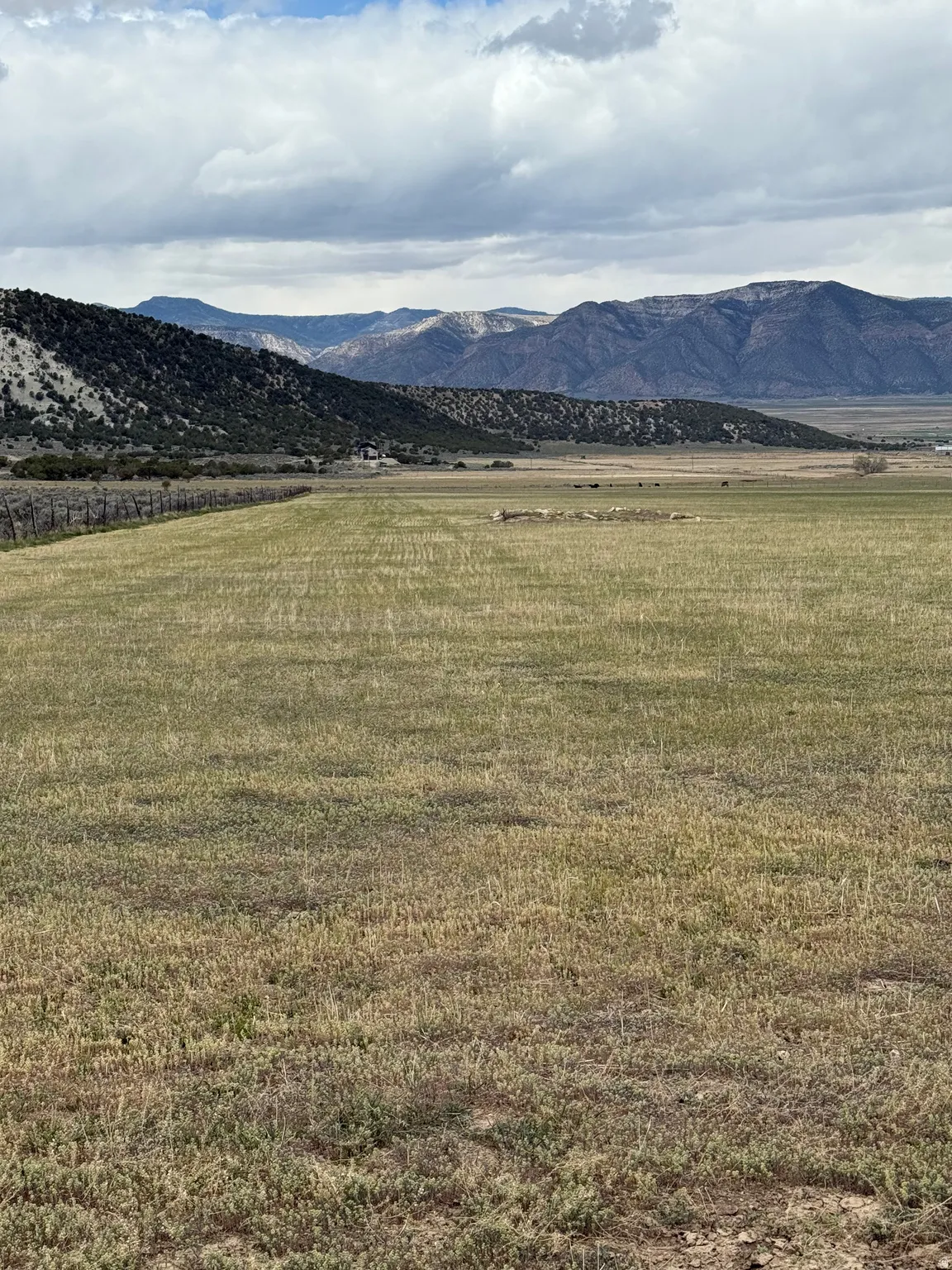 Expansive open field with natural vegetation, bordered by a wooden fence line