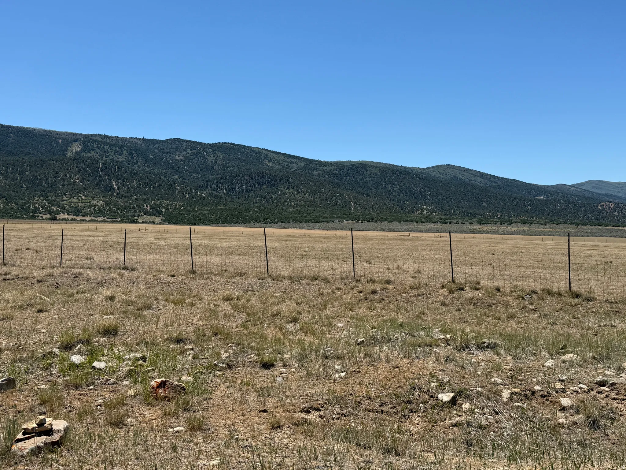 Expansive open land featuring natural grasses and distant forested mountains under a clear sky