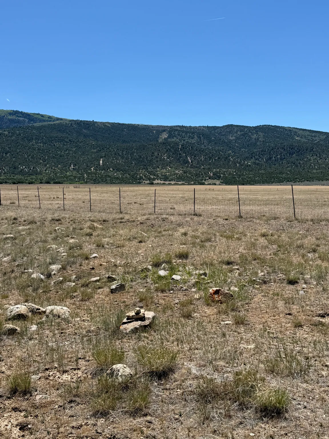 Expansive open land featuring sparse natural vegetation, a wire fence line, and a distant tree-covered mountain range under a clear sky