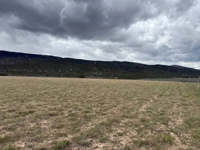 Expansive open land with natural ground cover, bordered by a wire fence