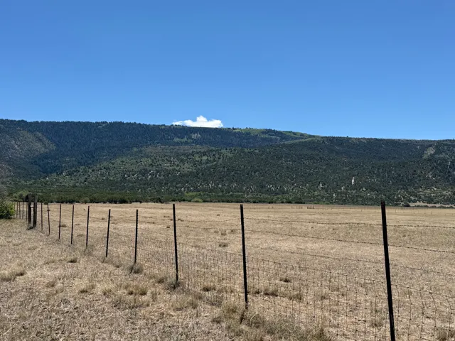 Expansive open land featuring a wire fence with metal posts, natural vegetation, and distant tree-covered mountains
