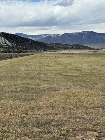 Expansive open field with natural vegetation, bordered by a wooden fence line