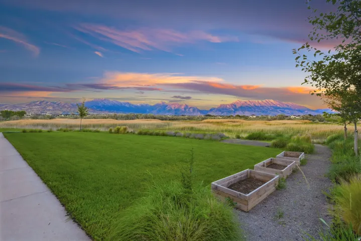 Expansive green lawn with a concrete pathway and three raised garden beds