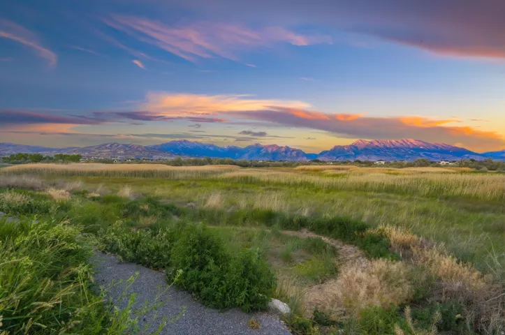 Expansive natural landscape featuring varied grasses and low-lying brush, offering a serene environment