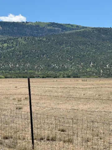 Expansive open field with a wire fence, backed by a distant tree-covered mountain range under a clear blue sky