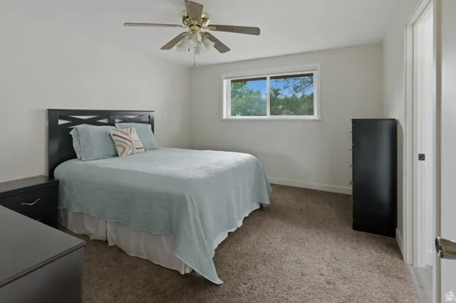 Carpeted room with a ceiling fan light fixture, a horizontal window, and white trim