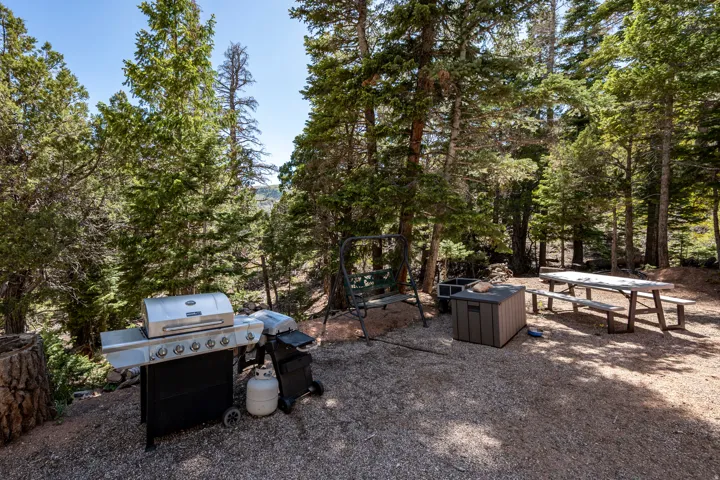 Outdoor entertaining area with gravel surfacing, featuring a picnic table with benches, a swing, and mature trees