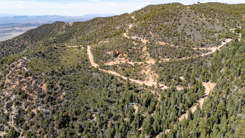 Mountainous terrain featuring extensive tree coverage and visible access roads