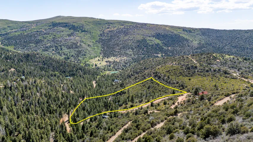 Expansive mountain property featuring varied topography, mature evergreen trees, and a dirt road access
