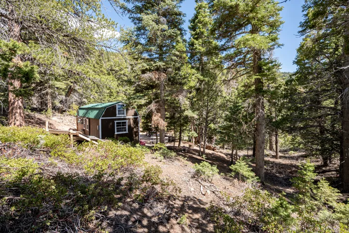 Wood-sided structure with a green gambrel roof, white-framed windows, and an exterior deck, surrounded by mature pine trees