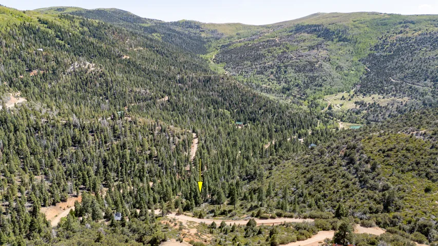 Expansive mountain terrain featuring abundant evergreen and deciduous trees