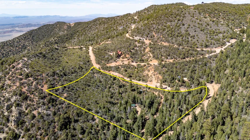 Expansive mountainous terrain featuring a dense forest of evergreen trees