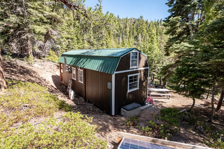 Barn-style cabin with a green metal roof and brown siding, set amidst dense pine trees