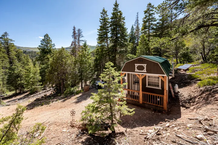 Compact cabin with a brown exterior and green gambrel roof, featuring a covered porch with natural wood pillars and railings