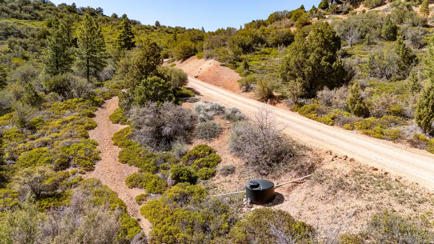 Rural landscape featuring a dirt road traversing a hillside with varied natural vegetation and mature trees