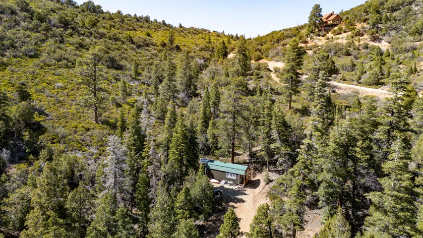 Secluded property surrounded by mature evergreen trees