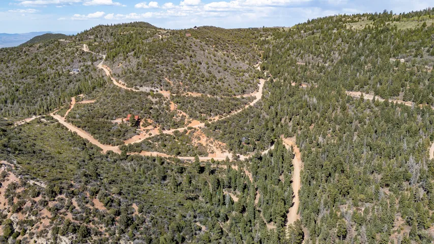 Expansive mountain property featuring varied topography and abundant evergreen trees