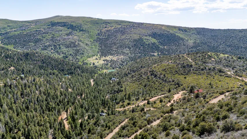 Expansive mountainous landscape featuring dense evergreen forests and winding dirt roads