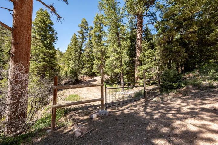 Rustic wood fence and metal gate at the entrance of a wooded property
