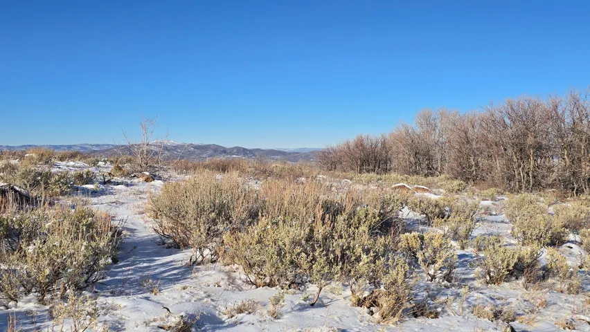 Expansive outdoor property featuring snow-dusted terrain, mature trees bordering the perimeter, and distant mountain ranges under a clear blue sky