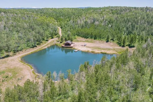 Wooded acreage featuring a private pond with a small dock, a dirt access road, and a rustic cabin with an expansive deck