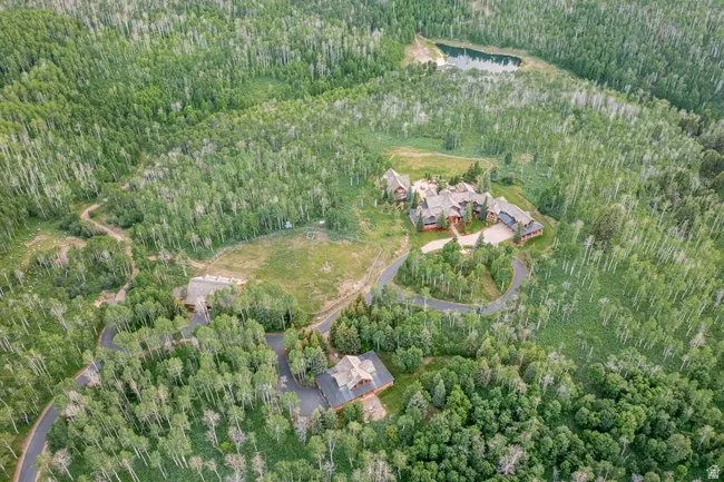 Expansive wooded property featuring a large residence, a secondary structure, and a winding paved driveway