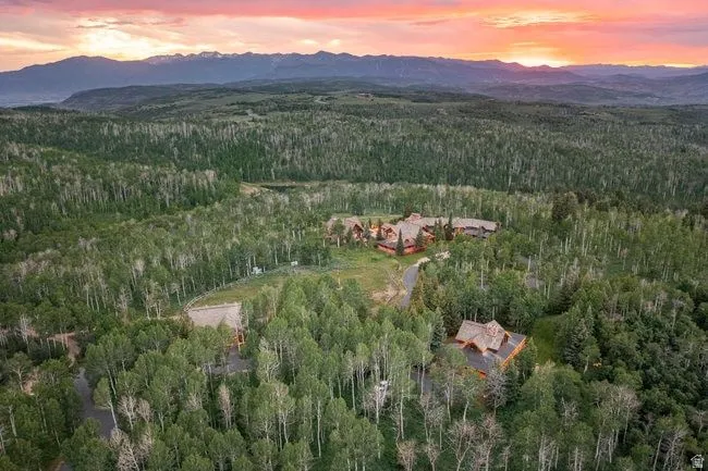 Expansive wooded property featuring multiple structures, a private drive, and distant mountain ranges