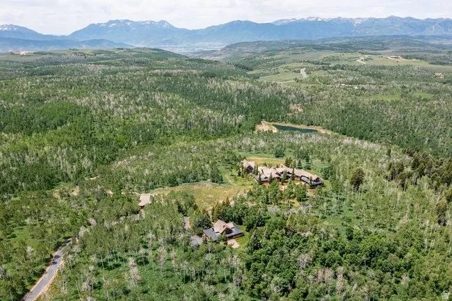 Expansive wooded landscape featuring a private lake, two distinct structures, and a paved access road