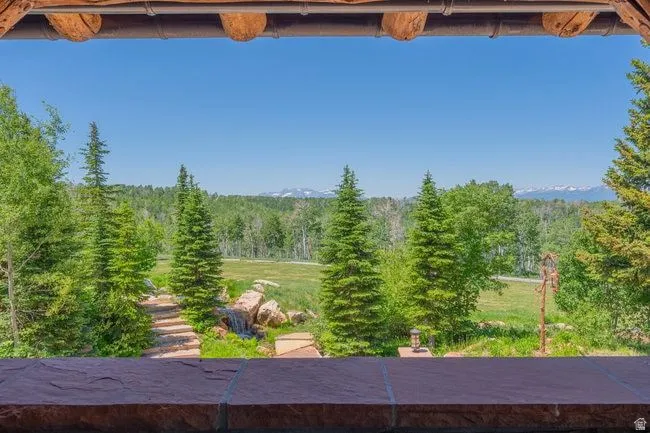 Expansive natural landscape featuring lush evergreen trees, a vast green meadow, and distant snow-capped mountains