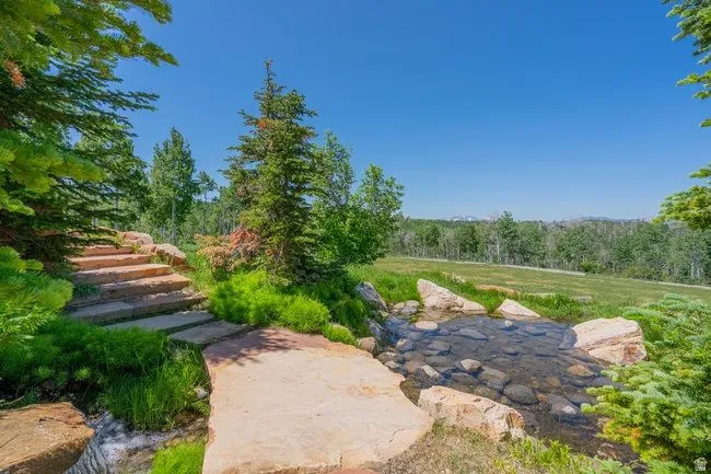 Stone staircase and water feature surrounded by lush greenery, leading to an expansive open field with distant treelines