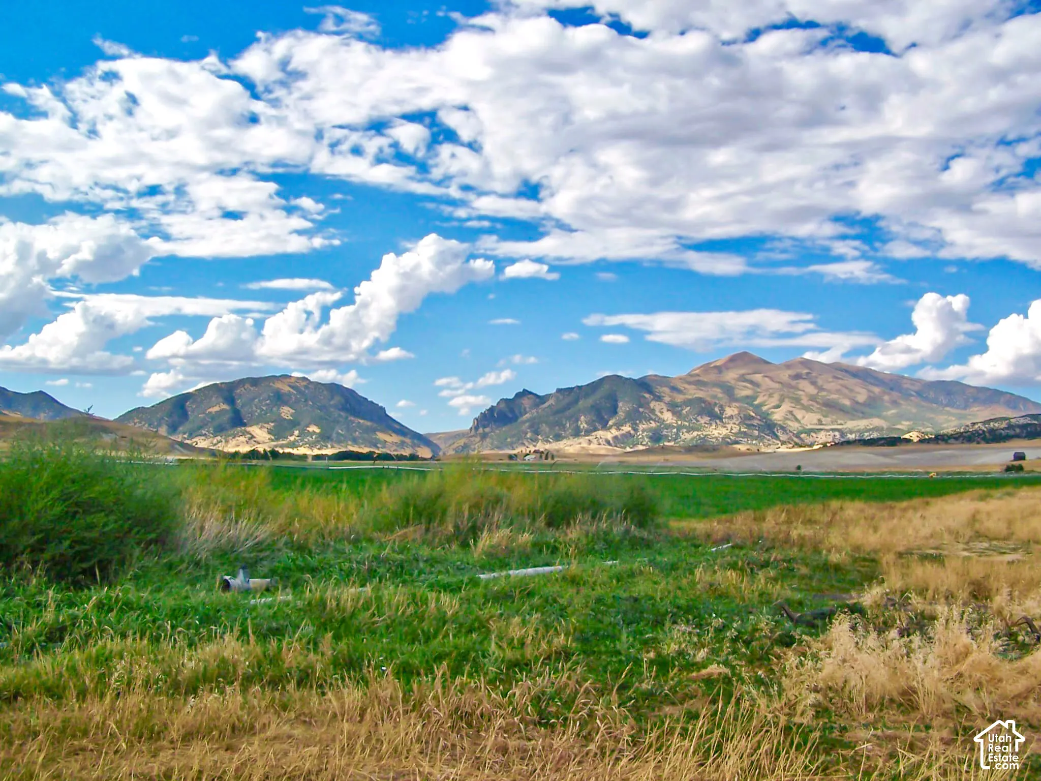 Expansive landscape with a foreground of natural grasses and a distant green field