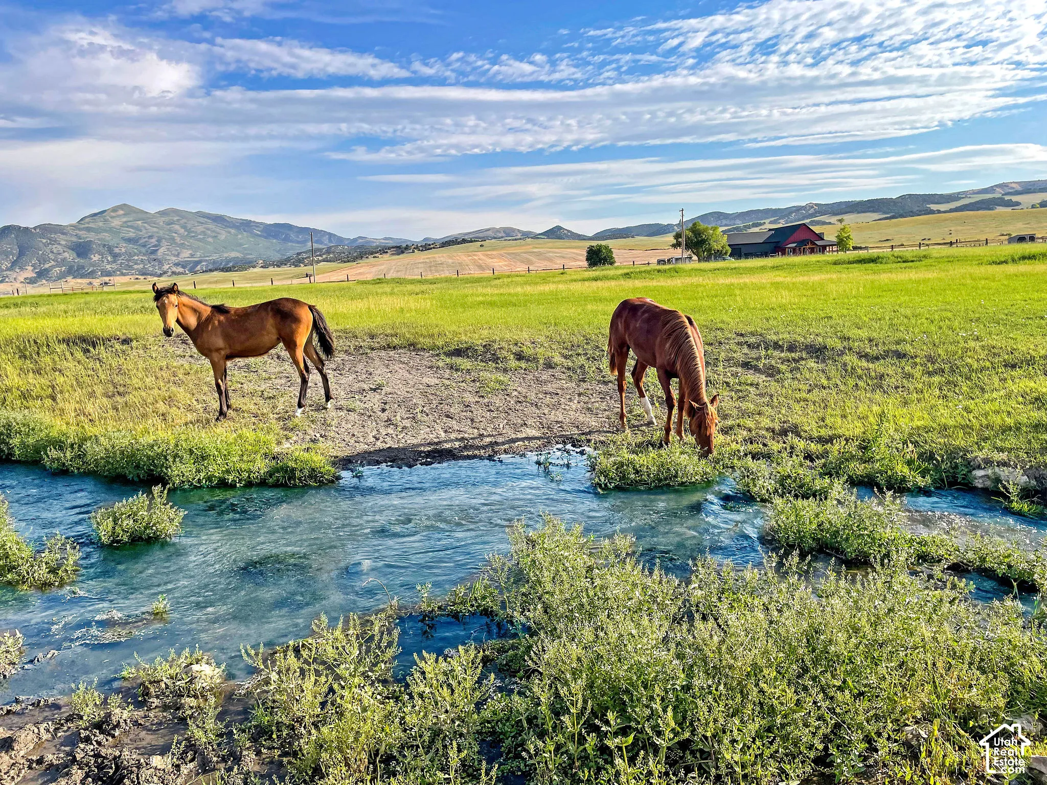 Expansive green pastureland with a flowing stream